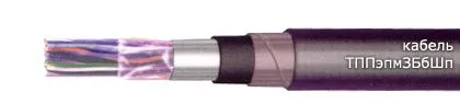 Кабель ТППэпмЗБбШп 10х2х0,5-200