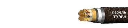 Кабель ТЗЭБп 12х4х1,2